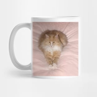 Feather Duster Mug